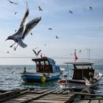 istanbulda hava aciyor tarih asik r oldu bahar havasi geliyor K5ieCPQM