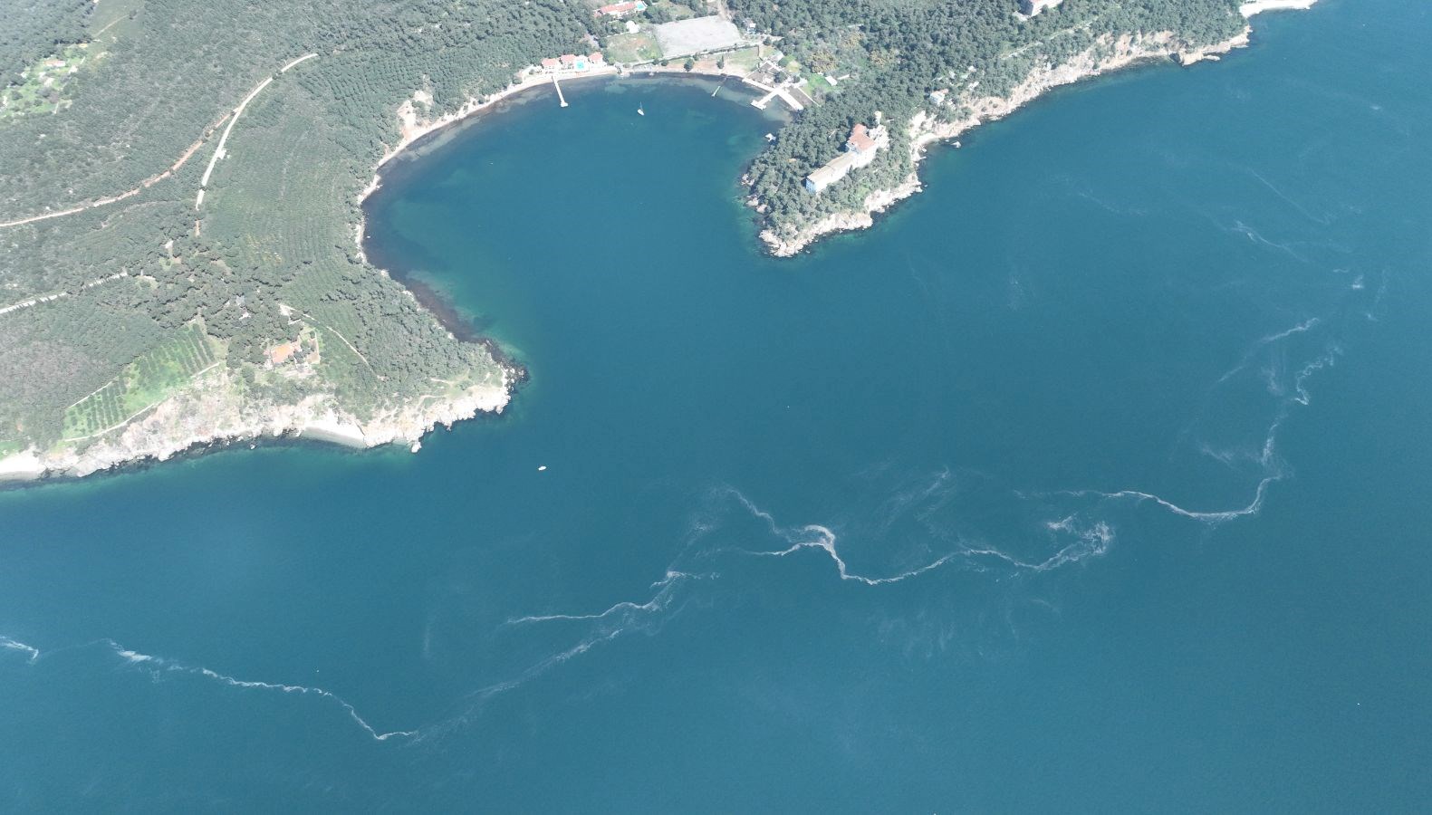 istanbulda musilaj deniz yuzeyinde gorulmeye basladi wNHuh7mk