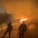 izmirde orman yangini davasi tutuklu 4 sanik da tahliye oldu OvH5mp4W