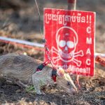 kahramansican tarihe gecti mayin avcisindan dunya rekoru i4y9Yqpy