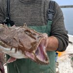 karadenizde az goruluyorlardi kastamonuda aga takildilar bkPncgZR