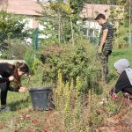 kokleri duzcede unu dunyada hayaldi gercek oldu lpyRGN6H