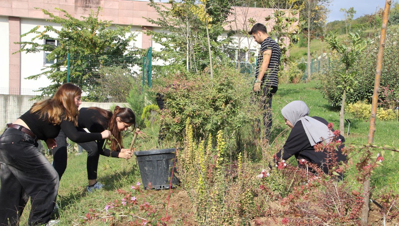 Düzce'den Dünyaya: Bir Hayalin Doğuşu 71 kokleri duzcede unu dunyada hayaldi gercek oldu lpyRGN6H