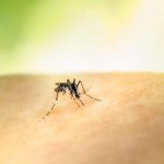 kolombiyada sarihumma alarmi cumhurbaskani petrodan asi uyarisi ahDM4kya