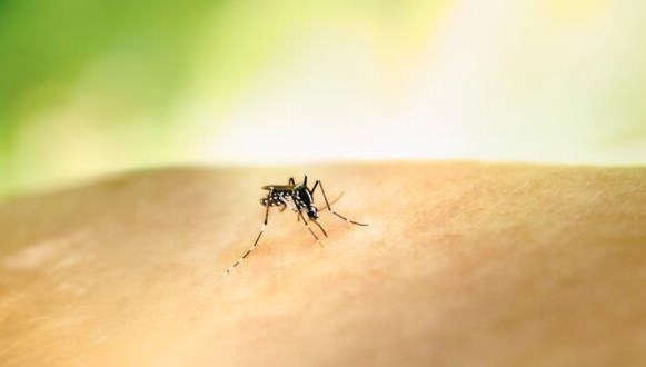 kolombiyada sarihumma alarmi cumhurbaskani petrodan asi uyarisi ahDM4kya