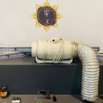 konutunda kenevir yetistiren supheliye gozalti lZ1bFPwz