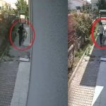 kopekleri parcalayip oldurdugu iddia edilen doktor tutuklandi YBsj4UKN