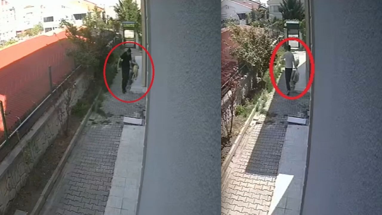 kopekleri parcalayip oldurdugu iddia edilen doktor tutuklandi YBsj4UKN