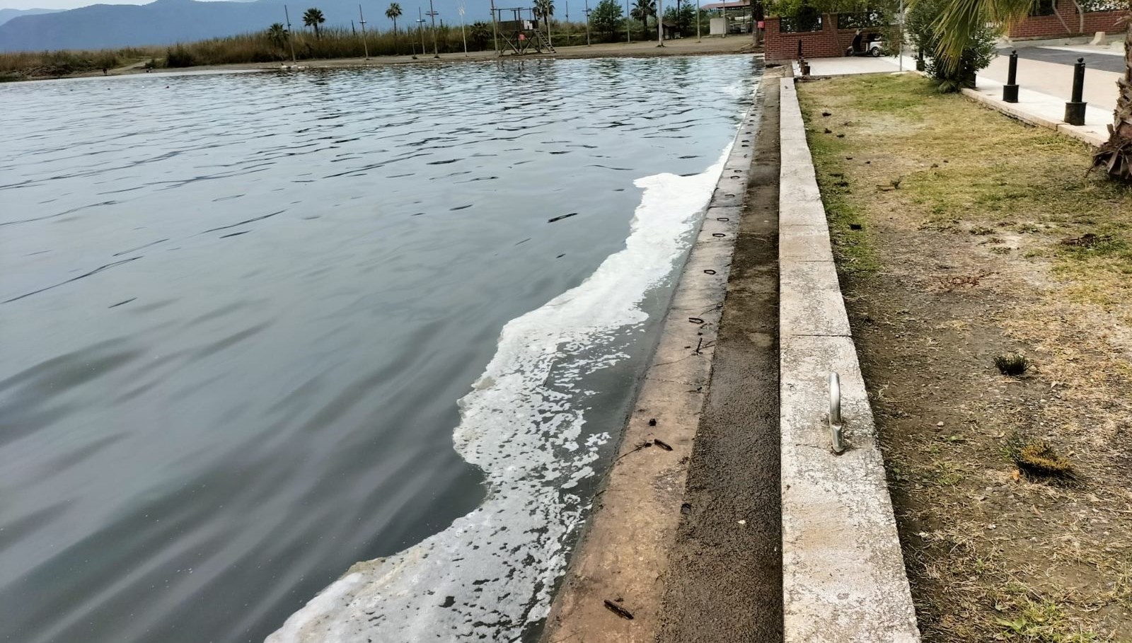 Köyceğiz Gölü’ndeki müsilaj huzursuz etti 71 koycegiz golundeki musilaj huzursuz etti TAOBSRwe