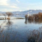 kura irmagi tasti ova gole dondu elyeE5UI