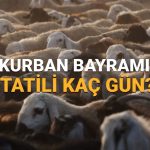 kurban bayrami 6 9 haziran uzatilacak mi kurban bayrami tatili 2025 ne vakit basliyor kac ZB5lqdIr