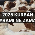 kurban bayrami ne vakit idrak edilecek bayram tatili 9 gun olur mu 2025 diyanet sNOOaVPA
