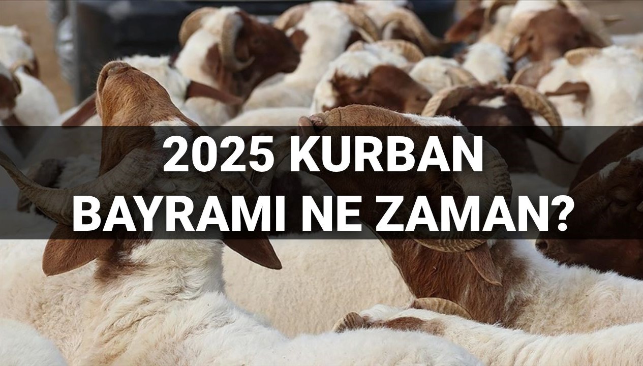 2025 Kurban Bayramı Takvimi: Bayram Ne Zaman, Tatil Kaç Gün Sürecek? 71 kurban bayrami ne vakit idrak edilecek bayram tatili 9 gun olur mu 2025 diyanet sNOOaVPA