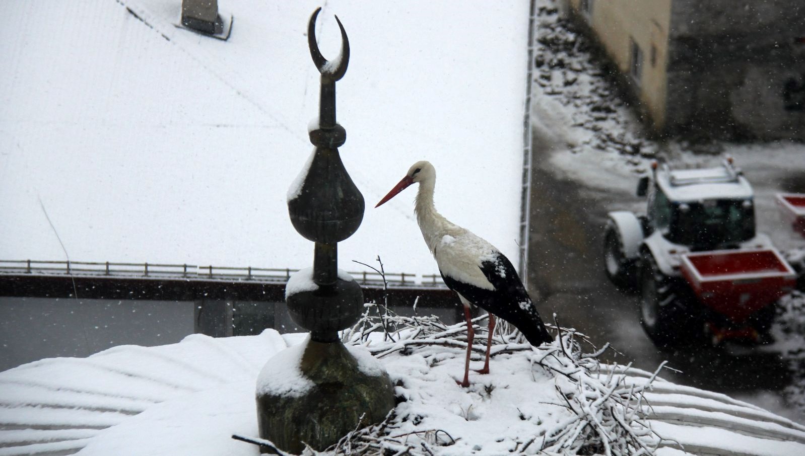 Leyleklere baharda kar sürprizi 71 leyleklere baharda kar surprizi