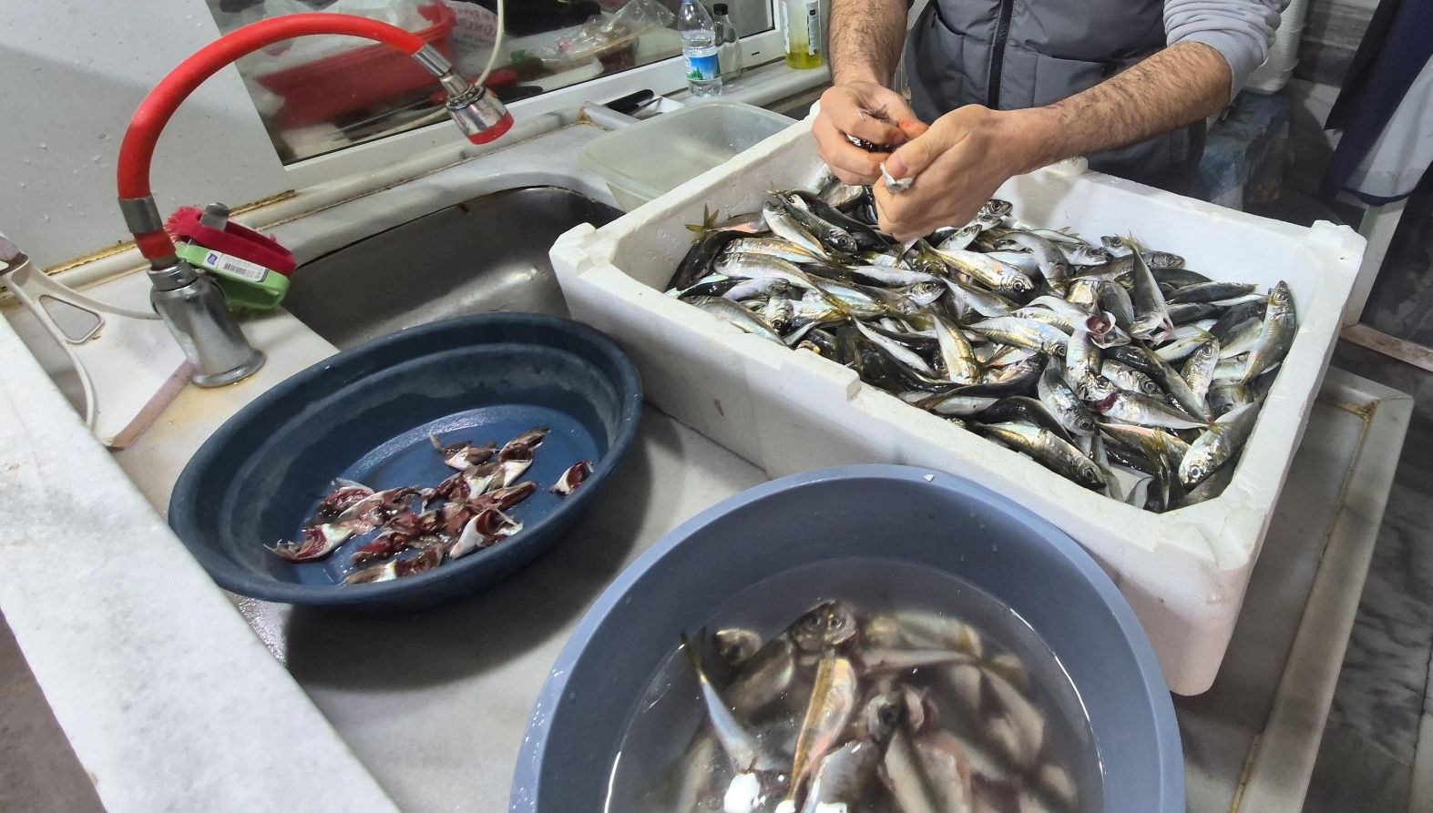 marmara denizinde musilaj balik etine ziyan veriyor mu 9kKCXSWN