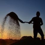 mazot ve gubre dayanagi odemeleri sorgulama ekrani 2025 nisan ayi ciftci takviye odemeleri yatti kPdRthff