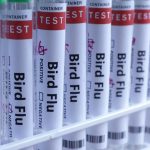 meksikada h5n1 kaynakli birinci vefat Gas8pFya