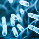 menenjit nedir belirtileri neler menenjit bulasma yollari t5ylcxZw