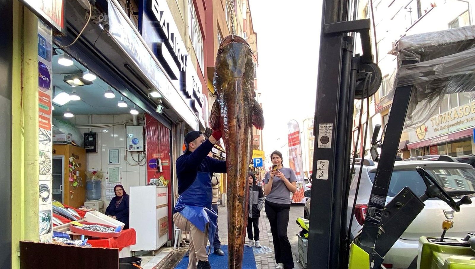 meric nehrinde yakalandi tam 3 metre kilosu 450 liradan satista