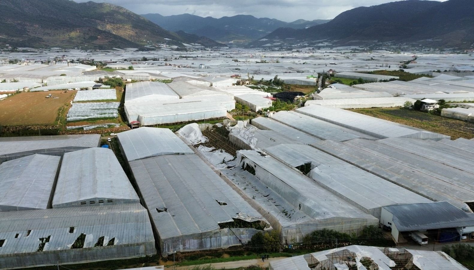 Mersin'de Gökten Afet İndi: Seralar Hortumun Hışmına Uğradı 71 mersinde saganak ve hortum seralar ziyan gordu