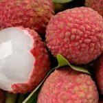 meyve cekirdeklerini yemek gercek mu sandiginiz uzere inancli olmayabilir PdqV68PZ