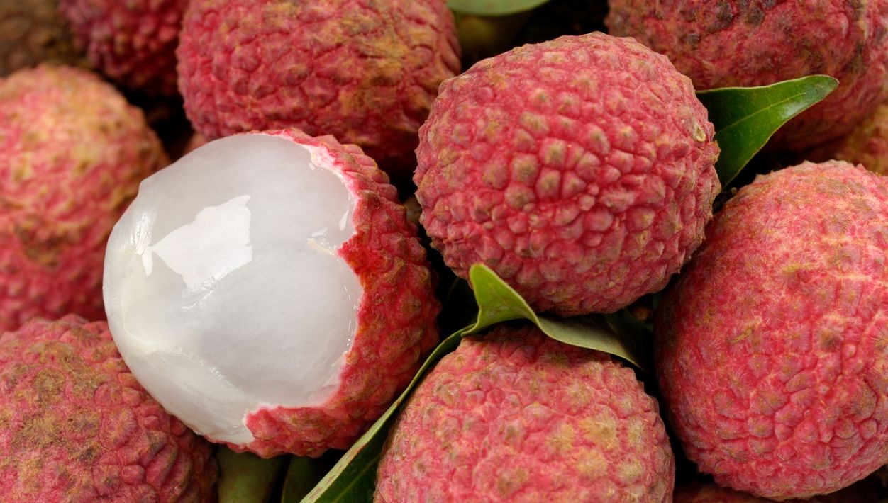 Meyve çekirdeklerini yemek gerçek mu? Sandığınız üzere inançlı olmayabilir 71 meyve cekirdeklerini yemek gercek mu sandiginiz uzere inancli olmayabilir PdqV68PZ