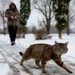 moskova beyaza burundu kar firtinasi kenti esir aldi 5r8Tfqhs