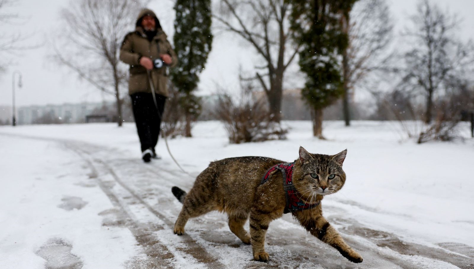 moskova beyaza burundu kar firtinasi kenti esir aldi 5r8Tfqhs