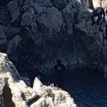 muglada tekneden dusmustu cansiz vucudu kasta bulundu UMvCy2pH