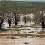 murat irmagi tasti tarim yerleri su altinda kaldi Dt5IzYiX