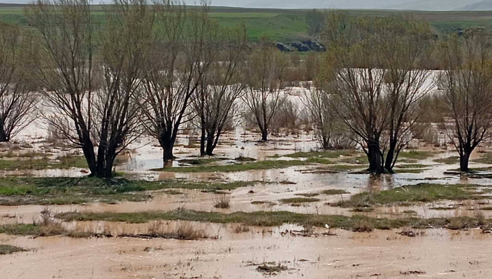 murat irmagi tasti tarim yerleri su altinda kaldi Dt5IzYiX