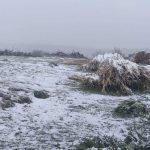 osmanelinin yuksek bolumlerde kar yagisi tesirli oldu UhHPggzT