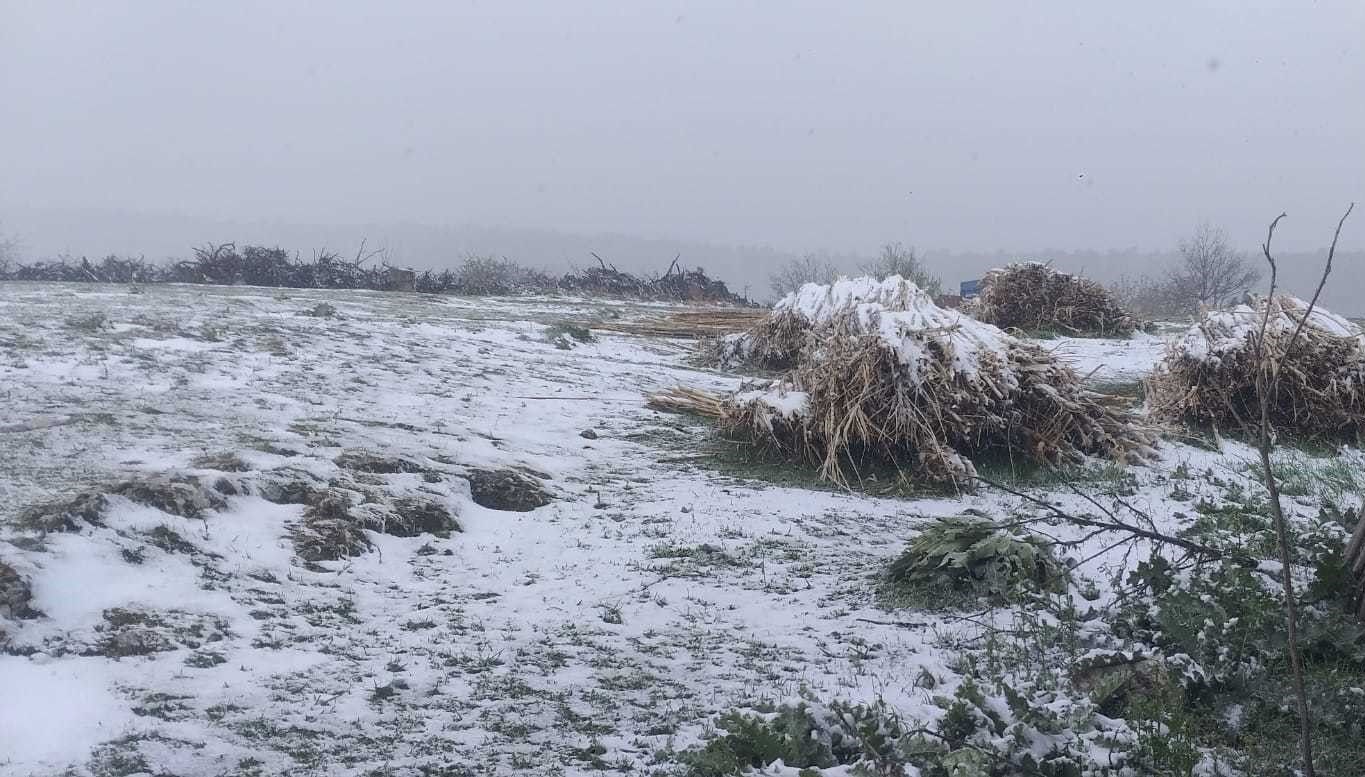 Osmaneli'nin yüksek bölümlerde kar yağışı tesirli oldu 71 osmanelinin yuksek bolumlerde kar yagisi tesirli oldu UhHPggzT
