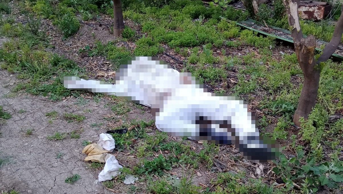 Parmağını arı sokan kişi öldü 71 parmagini ari sokan kisi oldu