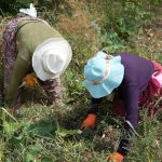 patates diyari olarak biliniyor ciftciler donemden umutlu 2NlF83KS