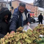 resen yetisen vitamin deposu tezgahta kanserin yeni ilaci olarak nitelendirilmis gp26EG4f