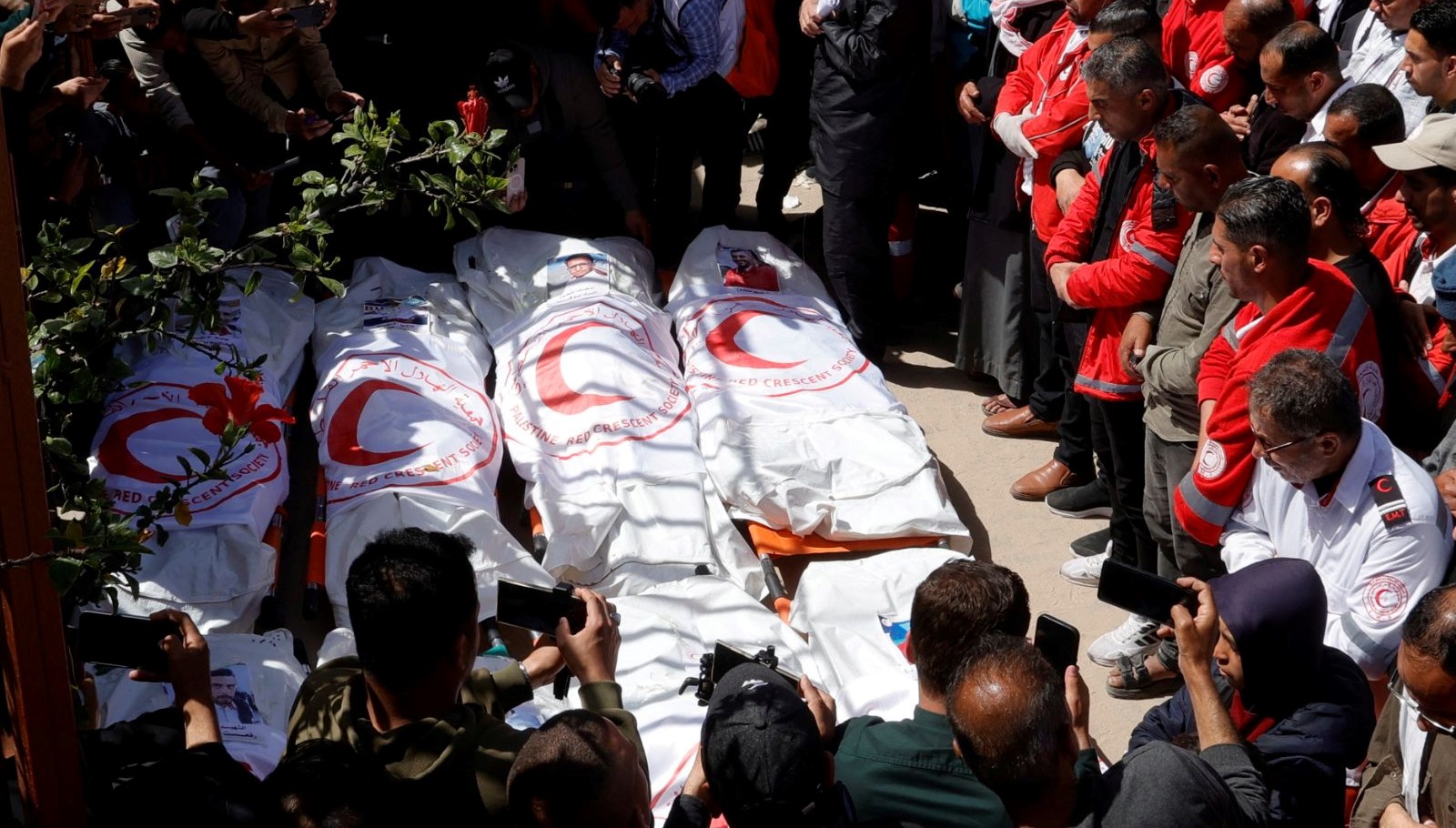 "Savaş Suçunun Korkunç Gerçeği: İsrail Ordusunda Görevli Bir Doktorun Şahitliği" 71 sahit doktor israilin gizlenen vahsetini anlatti elleri bagliydi savas hatasi islendi HpMPW2Bp