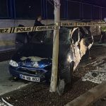 sivasta feci kaza agaca carpip can verdi UmjWMPPL