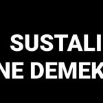 sustali ne demek sustali sozunun manasi N4ssPtFx