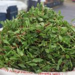 tabiatta parasiz pazarda kilosu 150 tl her sikintiya deva bitki buyuk ilgi goruyor IQSLWuEL