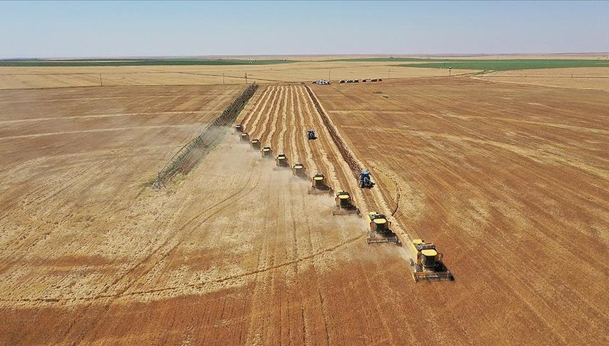 tarim ve orman bakanligi personel alimi basvurusu bekleniyor PZWYuacw