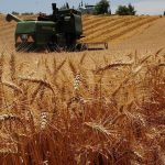 tarsim nedir tarsimin acilimi q6DsPDBp