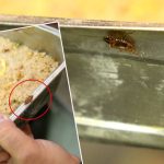 tatli imalathanesinde mide bulandiran imaj BqUTh3rd