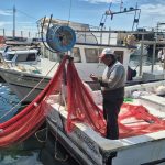 tekirdagda av yasagi basladi 250 bin liralik aglar musilajda kayboldu SmWAmLnd