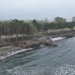 terme ovasinda kiyi erozyonu agaclari devirdi 4rJYetUg