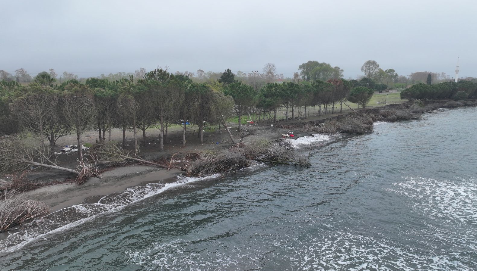 terme ovasinda kiyi erozyonu agaclari devirdi 4rJYetUg