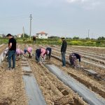 tesebbuscu kardesler 8 dekarlik alanda yetistiriyor ilcenin eksikligini giderdiler gaRpKaDn
