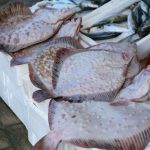 tezgahlarda kalkan rahmeti TQZZmg4h