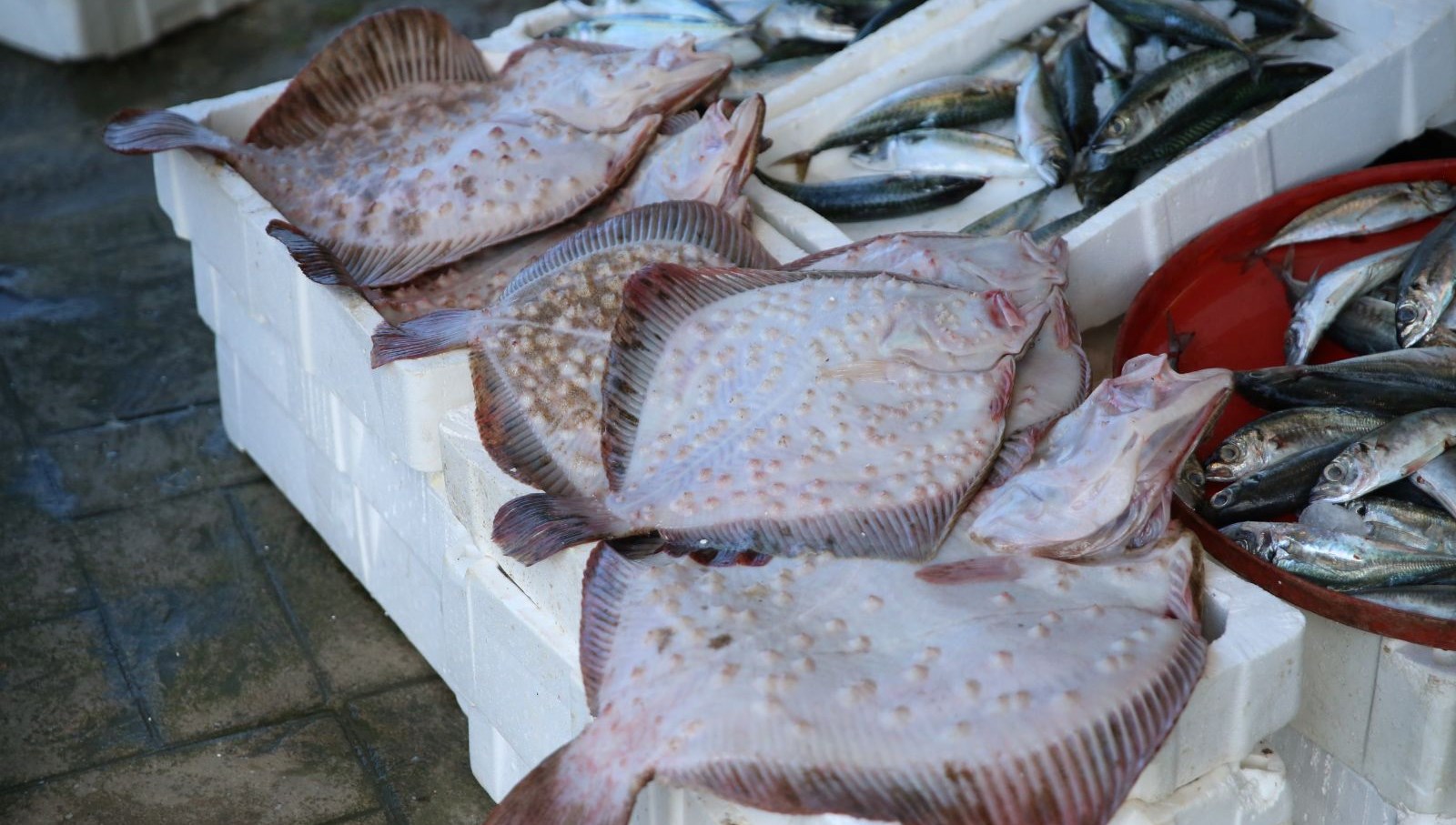 Tezgahlarda kalkan rahmeti 71 tezgahlarda kalkan rahmeti TQZZmg4h