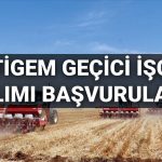 tigem 306 sureksiz emekci alimi muracaatlari 2025 tigem personel alimi muracaatlari nasil yapilir kaideler XpPn9vlI